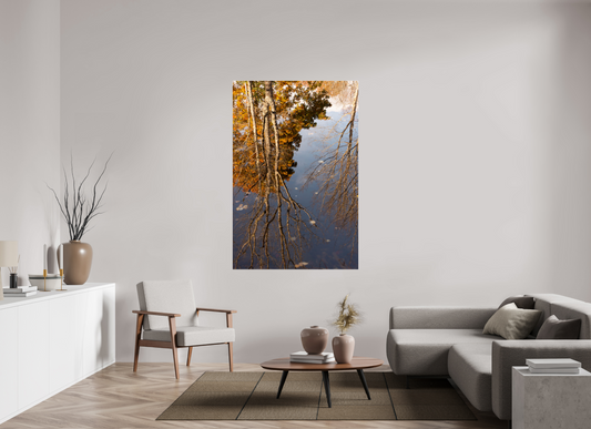 44 x 66″, Fotos Male Reflejo arboles 7
