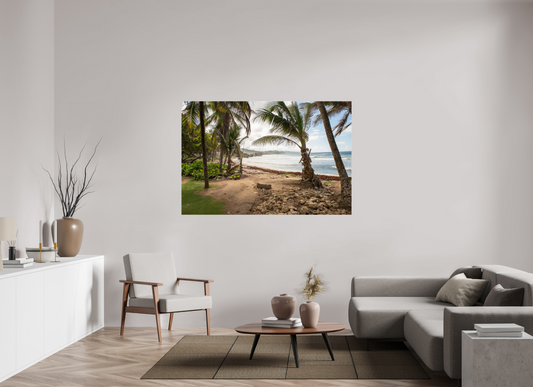 66 x 44″, Fotos Male Playa 4