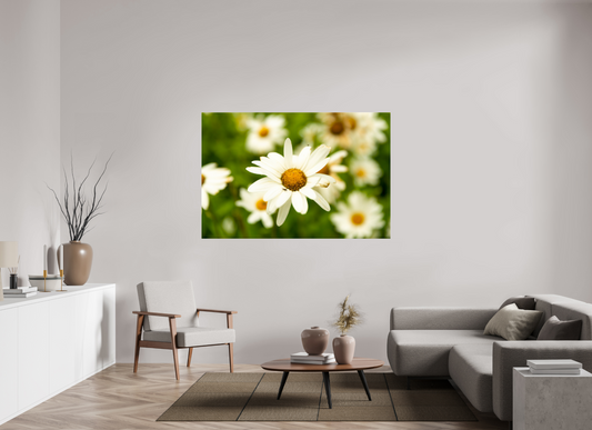 66 x 44″, Fotos Male Margarita