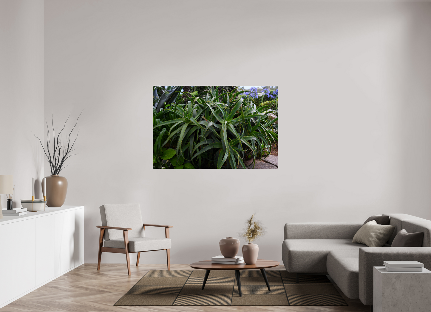 60 x 40″, Fotos Male Aloe Vera 5