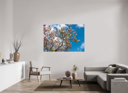 66 x 44″, Fotos Male Magonolia