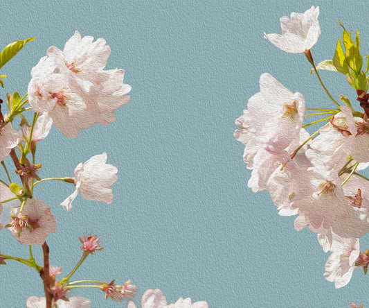 Flores de Cerezo Silk Vista Paste