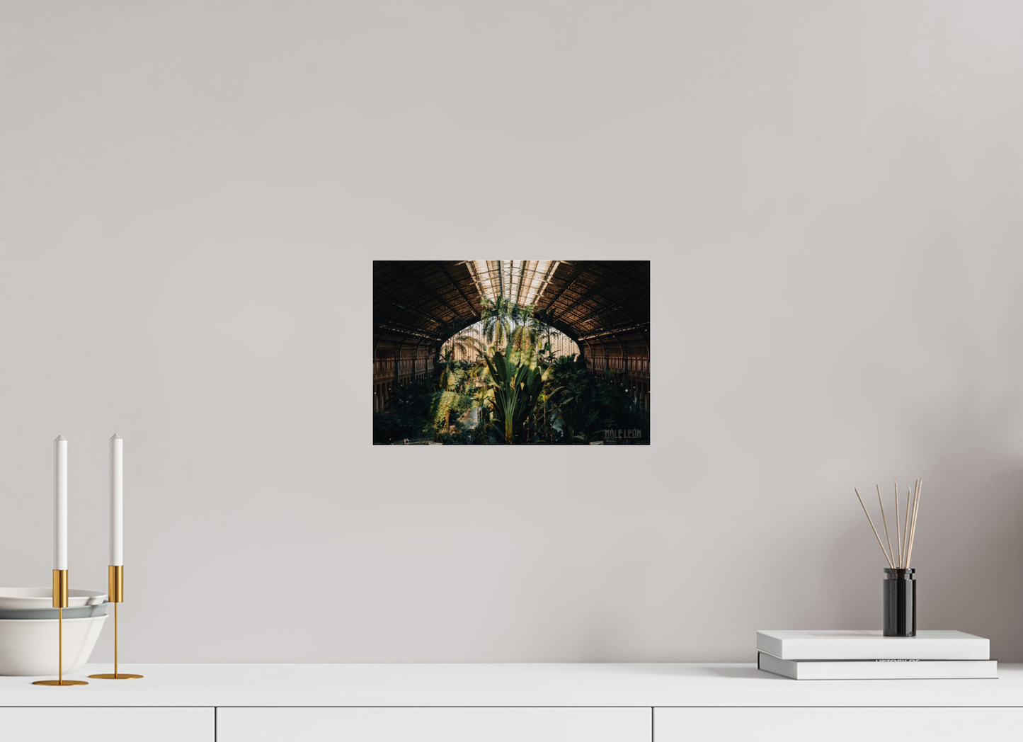 12 x 8″, Fotos Male Invernadero