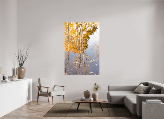44 x 66″, Fotos Male Reflejo arboles 3