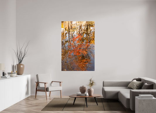 44 x 66″, Fotos Male Reflejo arboles 6