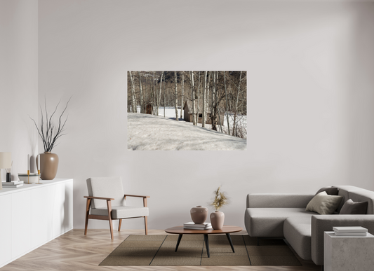 66 x 44″, Fotos Male Casa en la nieve