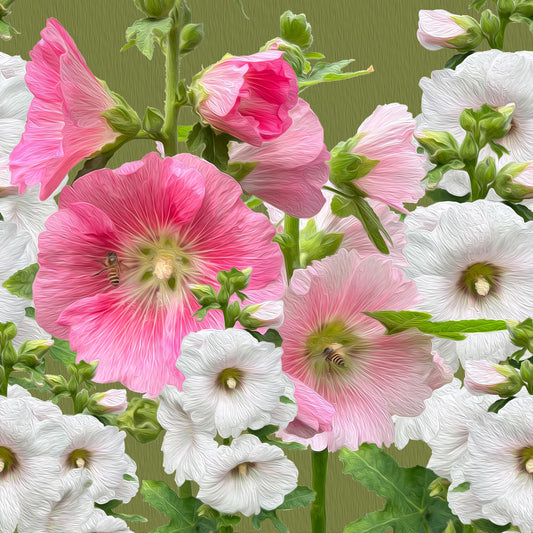 Malvarrosas Silk Vista Paste