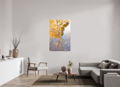 36 x 54″, Fotos Male Reflejo arboles 3