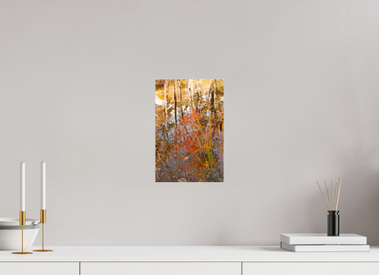8 x 12″, Fotos Male Reflejo arboles 2