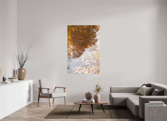 40 x 60″, Fotos Male Reflejo arboles 5