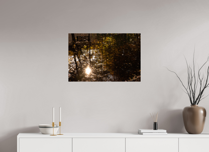 30 x 20″, Fotos Male Reflejo arboles 12