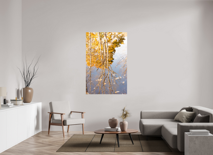 40 x 60″, Fotos Male Reflejo arboles 3