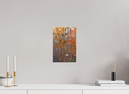 8 x 12″, Fotos Male Reflejo arboles 8