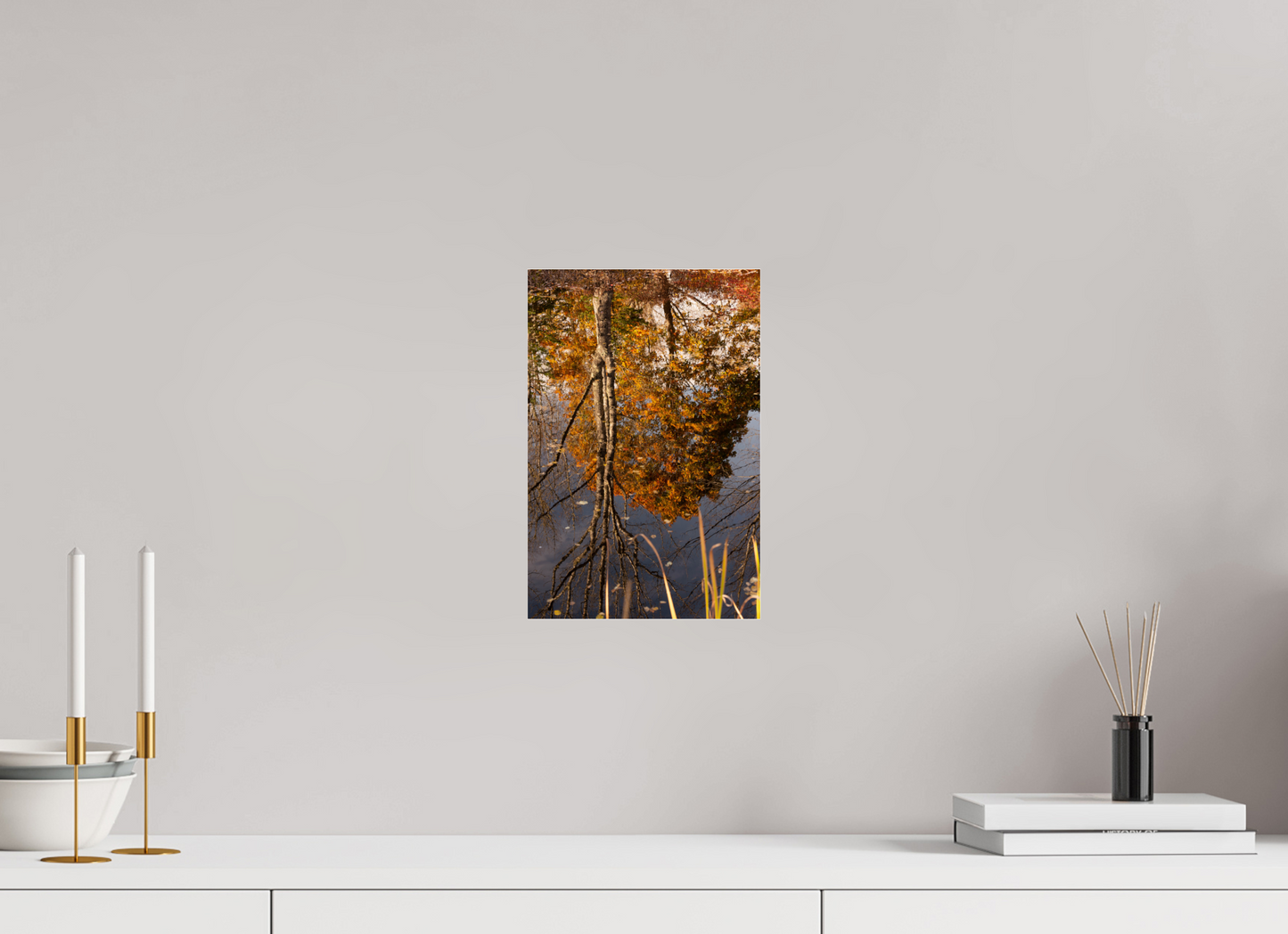 8 x 12″, Fotos Male Reflejo arboles