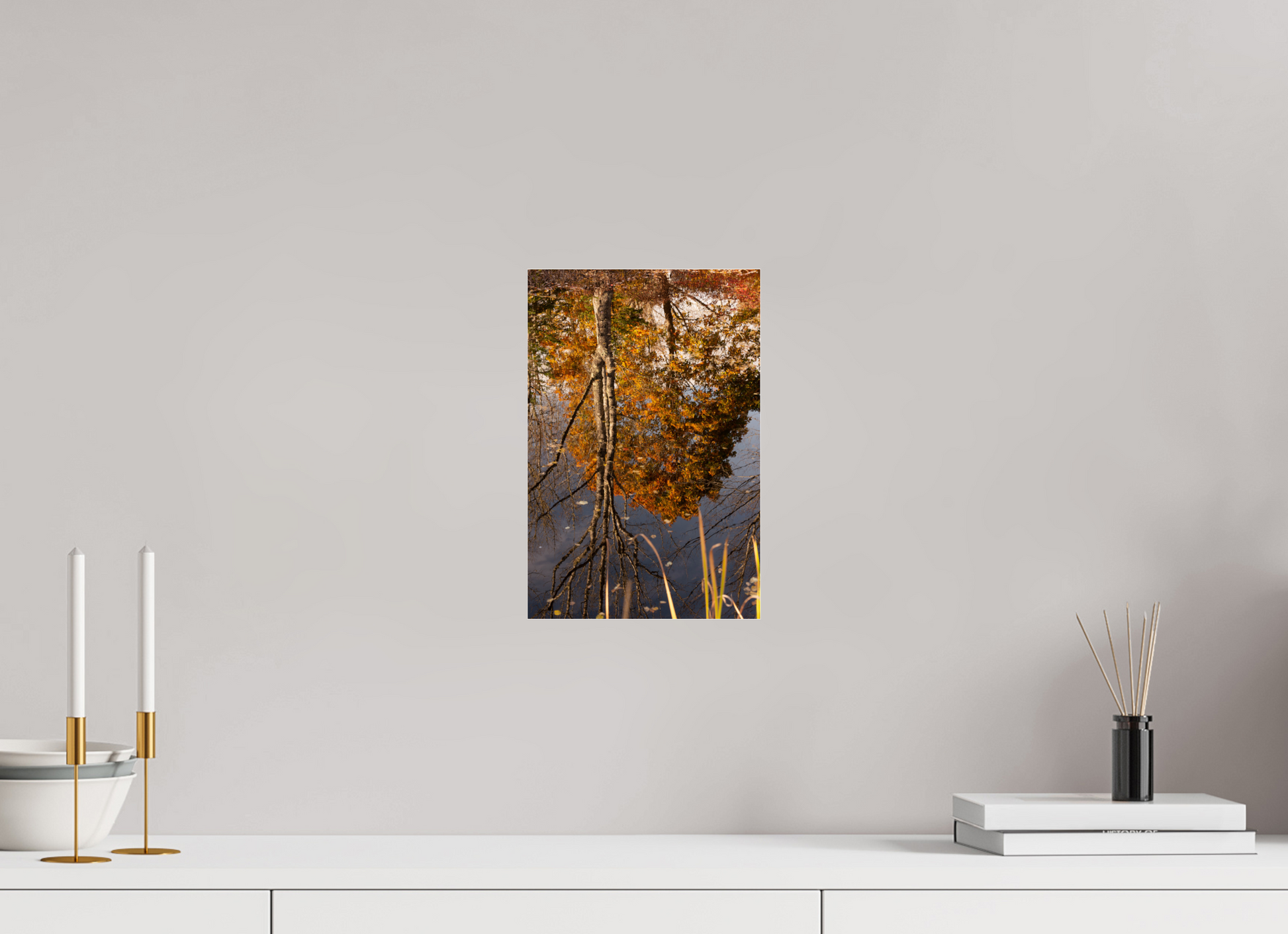 8 x 12″, Fotos Male Reflejo arboles