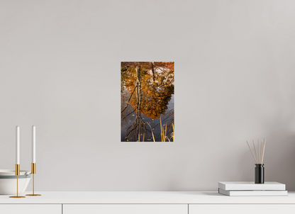 8 x 12″, Fotos Male Reflejo arboles