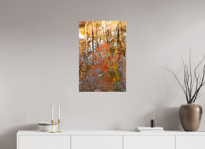 20 x 30″, Fotos Male Reflejo arboles 2