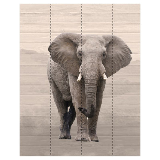 Photo or Montage Wallpaper