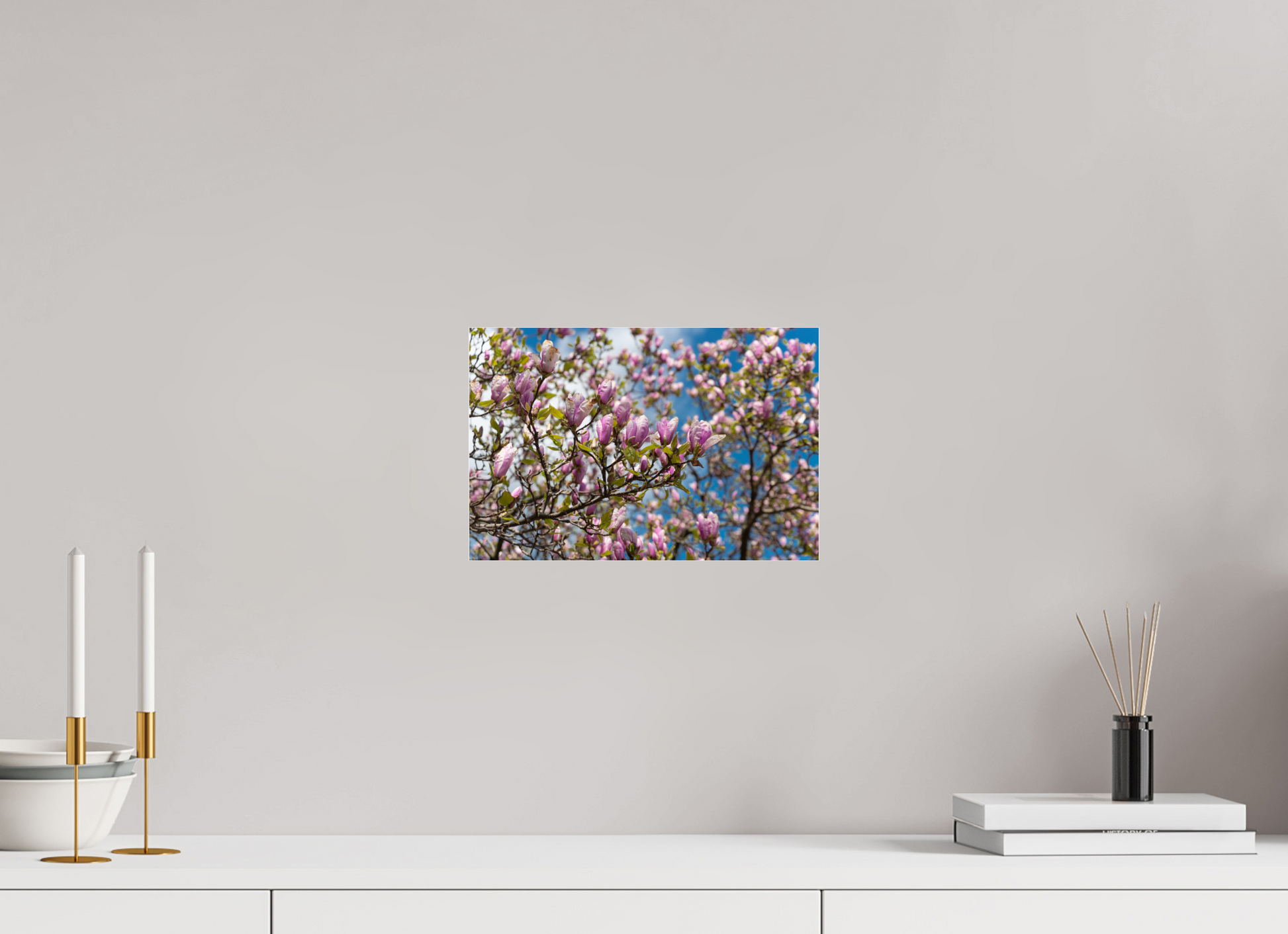 12 x 8″, Fotos Male Magnolia 3