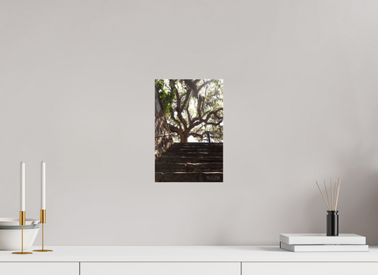 8 x 12″, Fotos Male Escalera