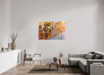 54 x 36″, Fotos Male Reflejo arboles 10