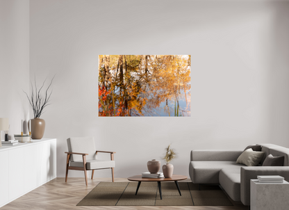 66 x 44″, Fotos Male Reflejo arboles 10