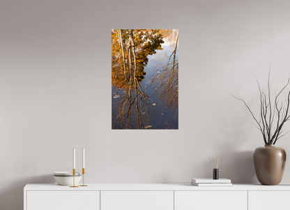 20 x 30″, Fotos Male Reflejo arboles 7