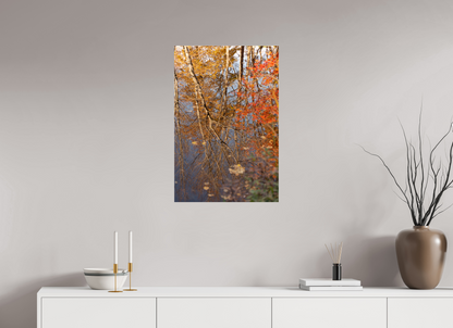 20 x 30″, Fotos Male Reflejo arboles 8