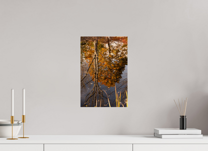 10 x 15″, Fotos Male Reflejo arboles