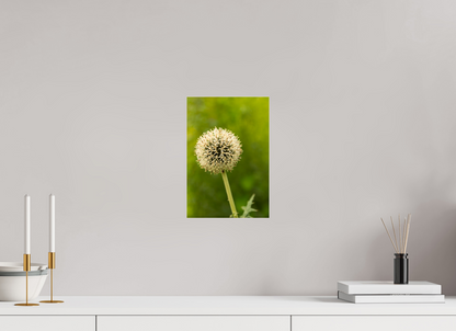 8 x 11.7″, Fotos Male Ajo ornamental