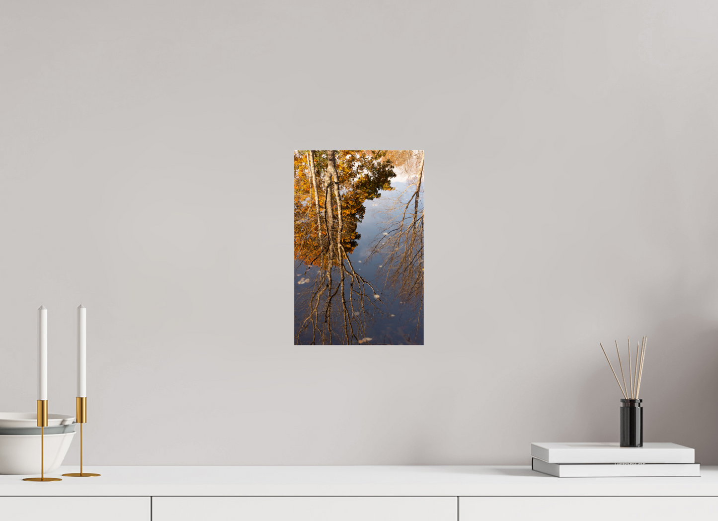 8 x 12″, Fotos Male Reflejo arboles 7