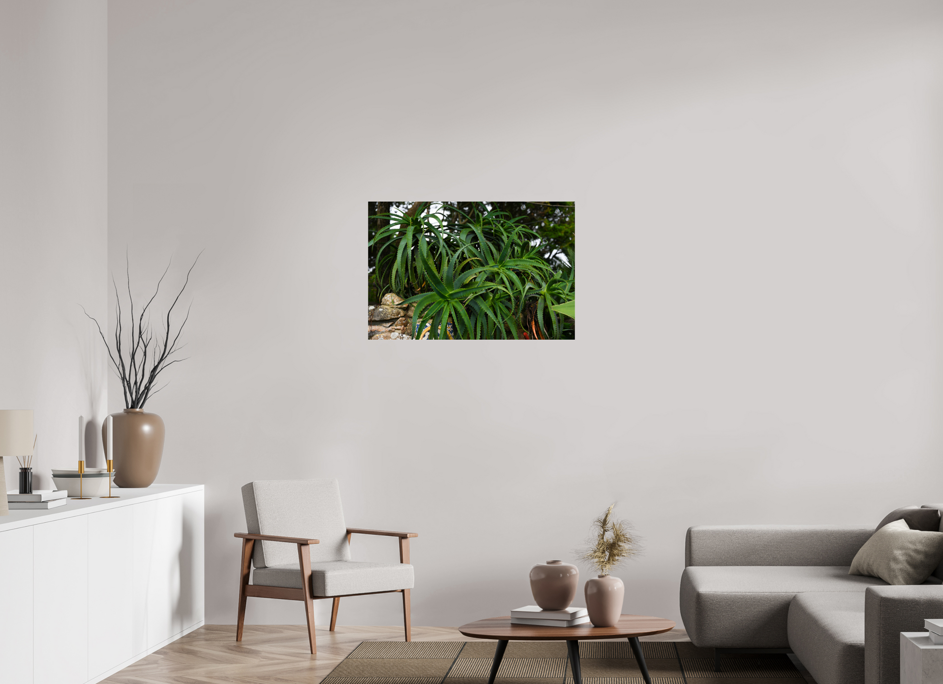 36 x 24″, Fotos Male Aloe Vera 5