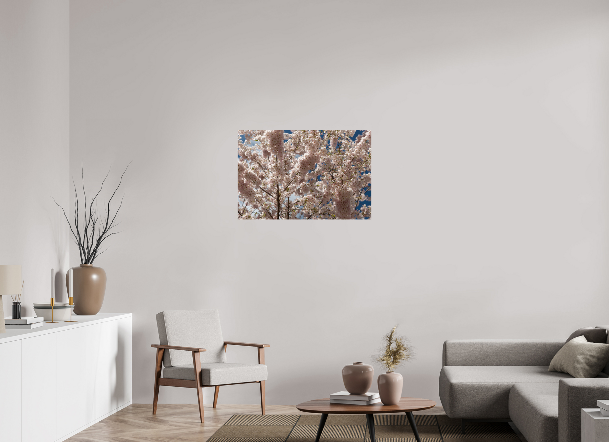 36 x 24″, Fotos Male Cerezo en flor