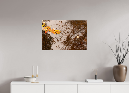 30 x 20″, Fotos Male hojas otonales en el rio