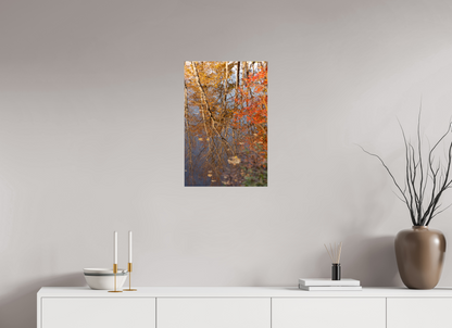 16 x 24″, Fotos Male Reflejo arboles 8