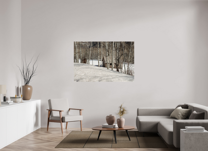 60 x 40″, Fotos Male Casa en la nieve