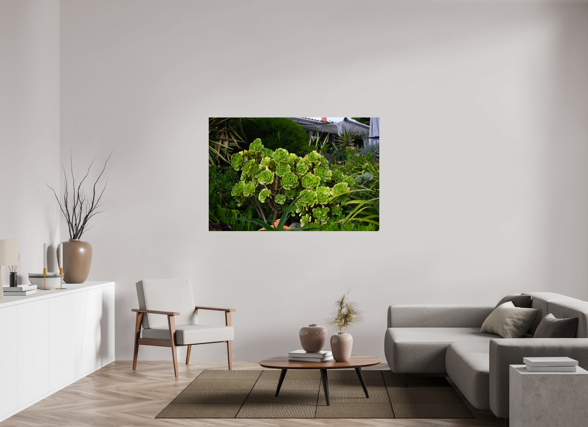 60 x 40″, Fotos Male Rosa Arbórea