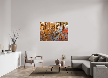 54 x 36″, Fotos Male Reflejo arboles 4