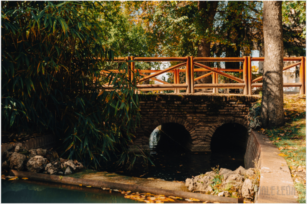Main image Puente