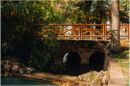 Main image Puente
