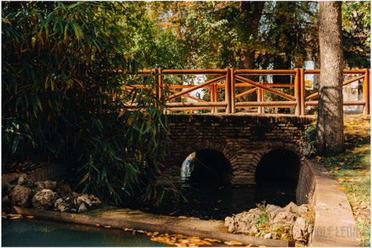 Main image Puente