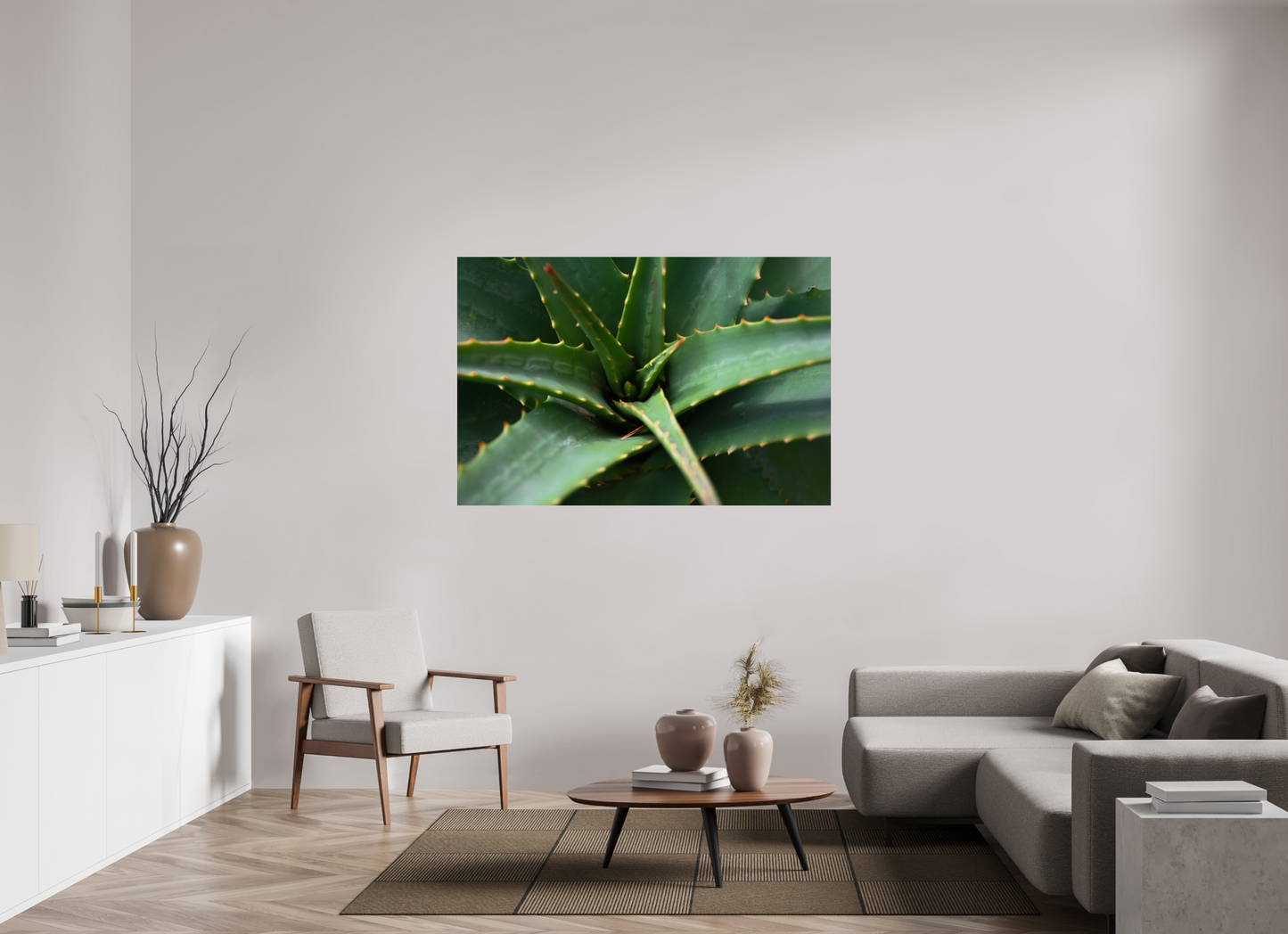 60 x 40″, Fotos Male Aloe Vera 4