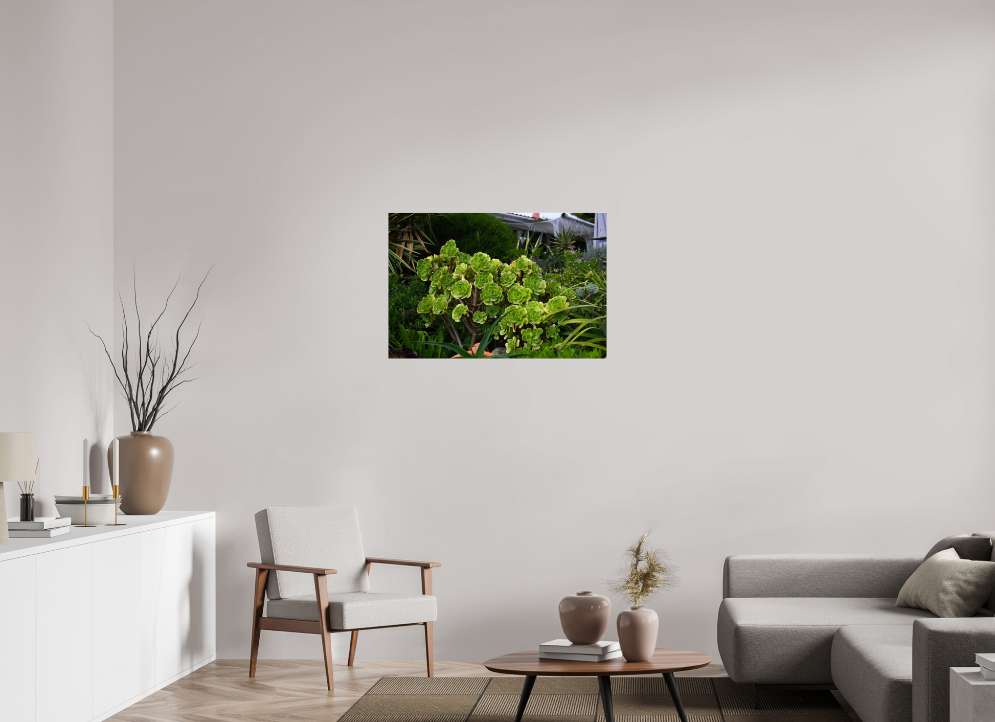 36 x 24″, Fotos Male Rosa Arbórea