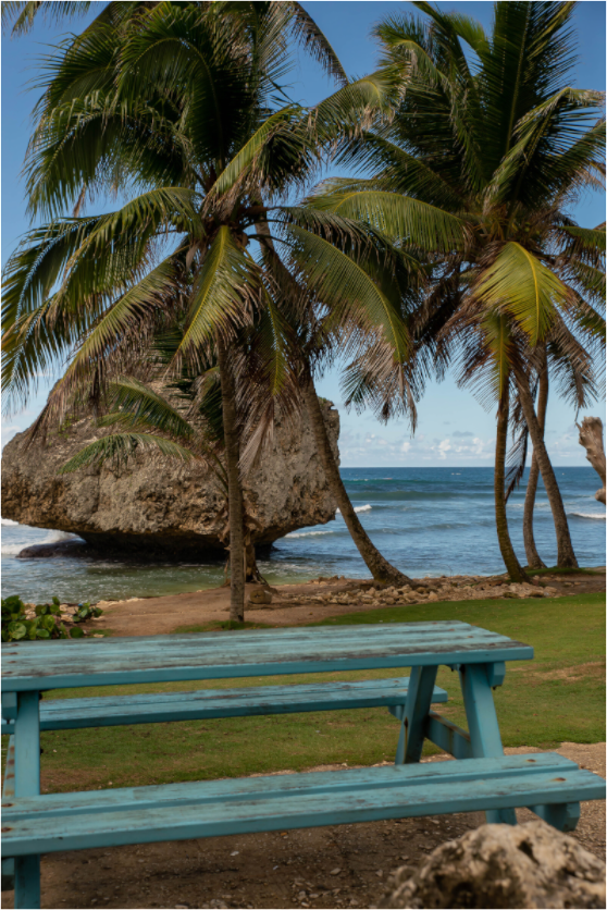 Main image Playa 2