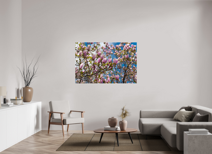60 x 40″, Fotos Male Magnolia 3