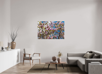 54 x 36″, Fotos Male Magnolia 3