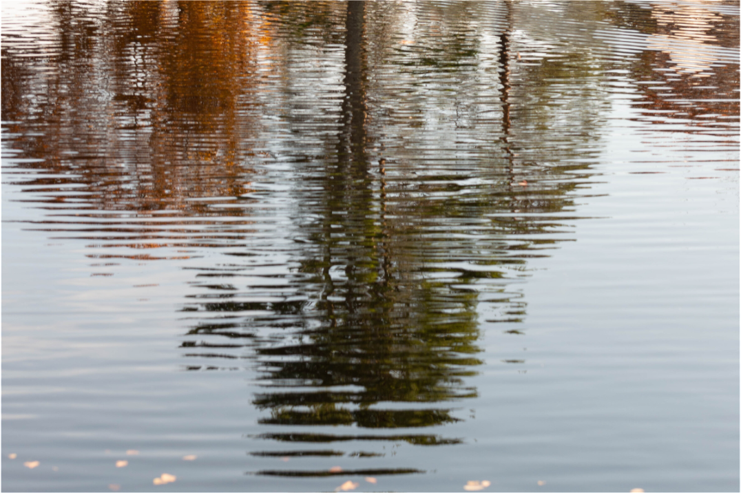 Main image Reflejo en el agua 3