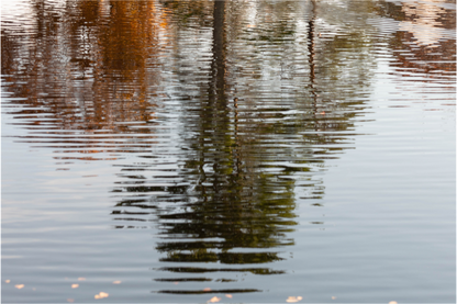 Main image Reflejo en el agua 3