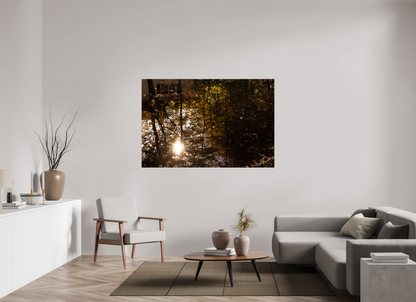 66 x 44″, Fotos Male Reflejo arboles 12