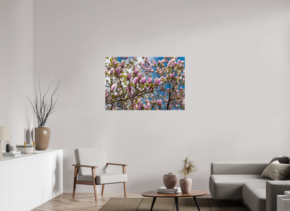 45 x 30″, Fotos Male Magnolia 3